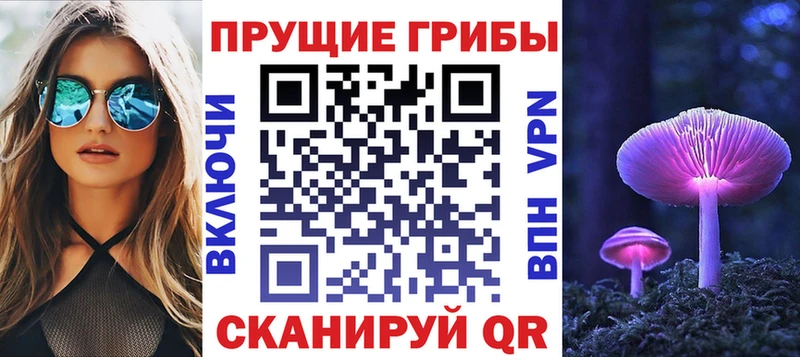 Галлюциногенные грибы Cubensis  Купить  Сретенск 